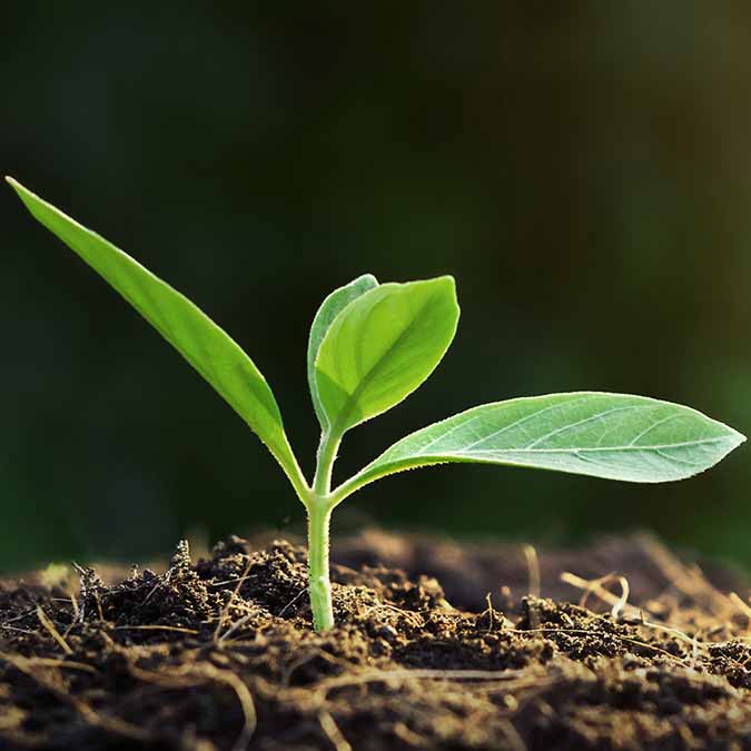 Footsteps in the sand.